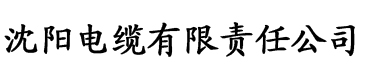 AI赵露思又疼又叫电缆厂logo